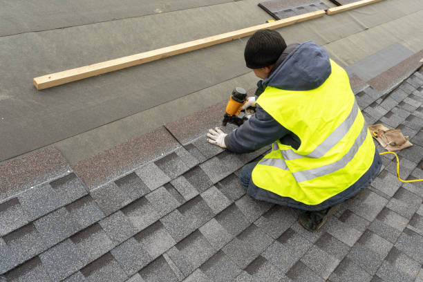 Roof Gutter Cleaning in Dover, FL