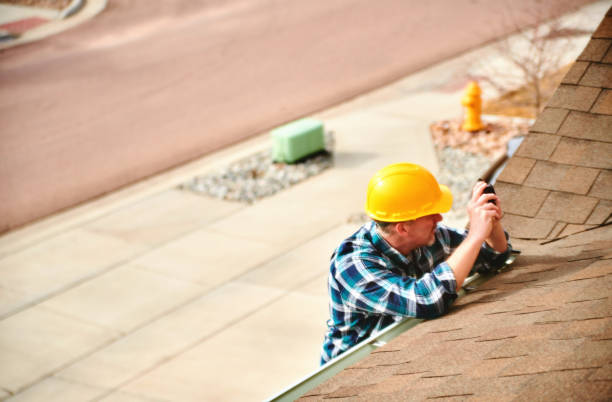 Professional Roofing Contractor in Dover, FL