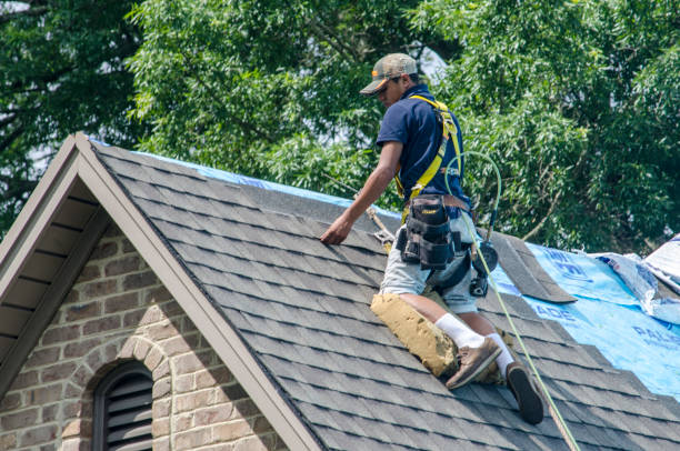 Quick and Trustworthy Emergency Roof Repair Services in Dover, FL