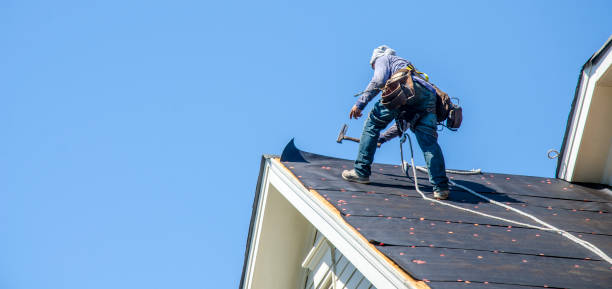 Best Residential Roofing Contractor  in Dover, FL